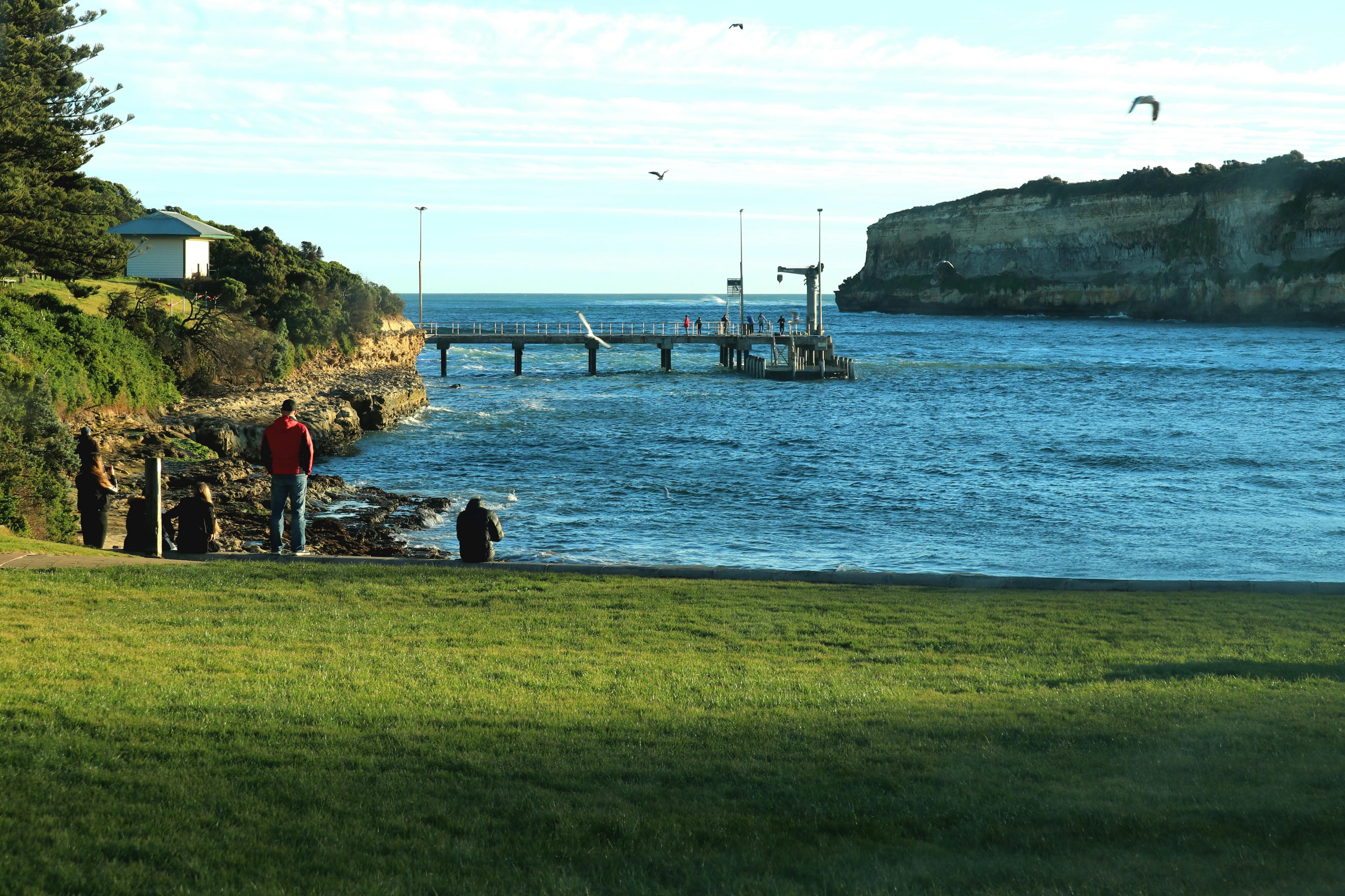 Grassland across a body of water